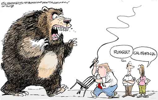 x-trump-ca-bear.jpg