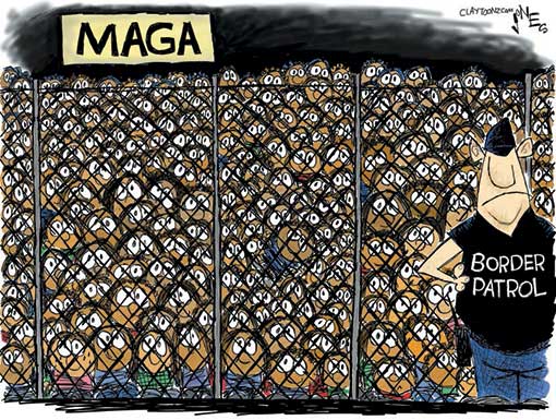 cage1.jpg