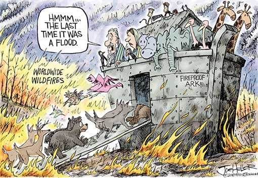 wildfires.jpg