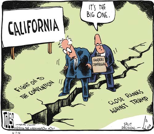 ca-primary.jpg