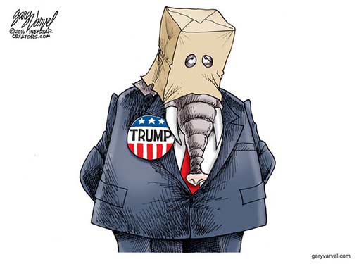 gop-bag.jpg