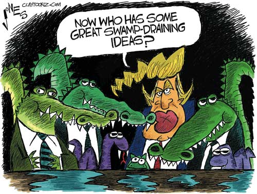 drain-swamp.jpg