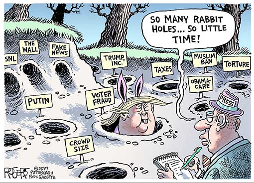 rabbit-holes.jpg