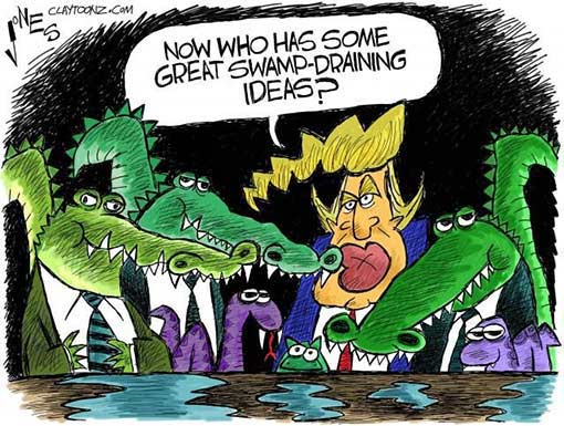 drain-swamp.jpg