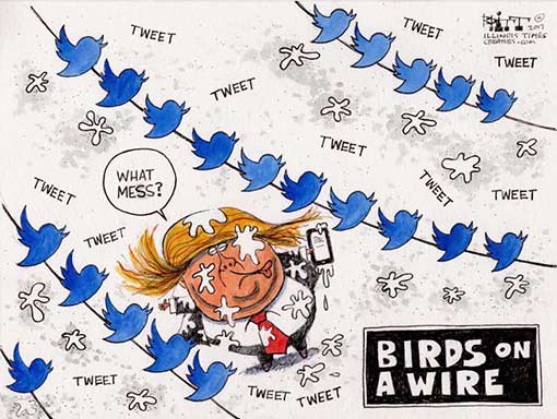 tweety-birds.jpg